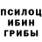Галлюциногенные грибы Magic Shrooms eDMGamingOfficial