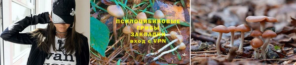 герыч Пролетарск