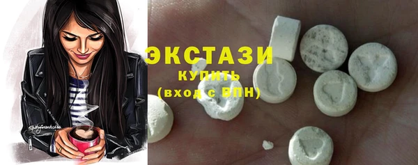 СК Ельня