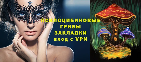 молекула духа Чекалин
