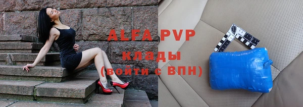 крисы Покачи