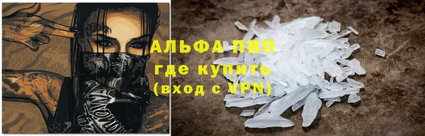 сатива Елизово