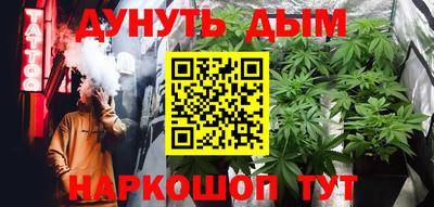 прущие грибы Будённовск